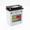 EverStart Lead Acid PowerSport Battery, Group Size 12AA 12 Volt, 165 CCA