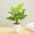 thumbnail image 6 of Realistic Artificial Potted Plant | Indoor Fake Green Plant for Home & Office Decor | Desk & Bookshelf Decoration | 12.2 Inch Plastic Simulation Plant, 6 of 6