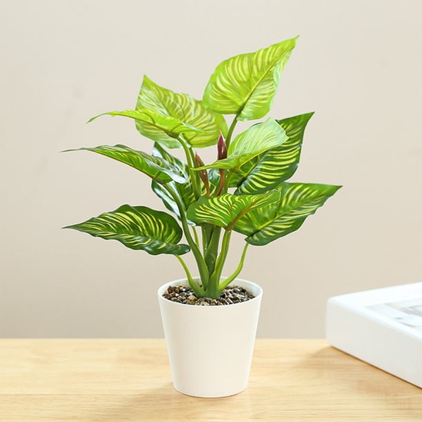 kladzum Small Fake Potted Plants Realistic Simulation Of Green Plants  Artificial Plants for Shelf Desk Home Bathroom Room Coffee Table Decor -  Walmart Business Supplies