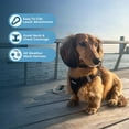 thumbnail image 2 of Arnés para perros Best Pet Supplies Voyager Step-In Air Black XL, 2 of 7