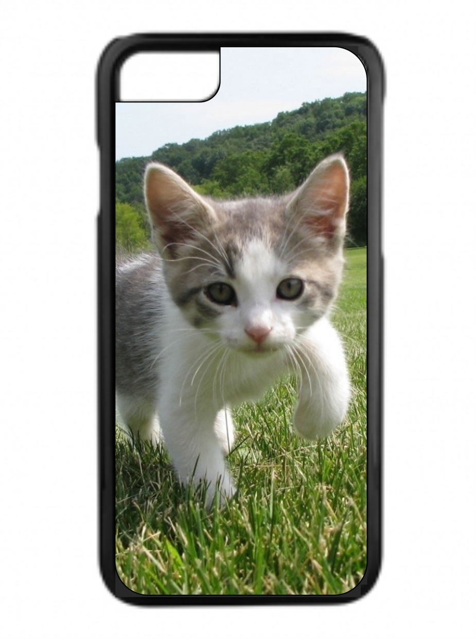 Sweet Kitten In The Grass Design Protective Durable Tough Black Plastic Overcase Hard Rubber Lining Phone Case That Is Compatible With The Apple Iphone 5c Walmart Com