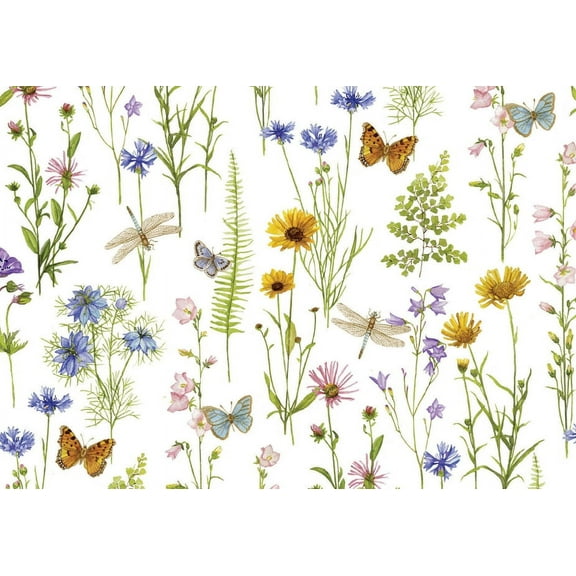 Wildflower Garden Note Cards (Other)