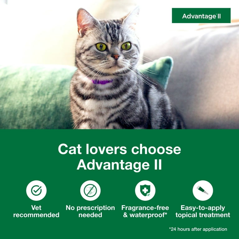 Advantage II Flea Prevention for Large Cats, lbs+, 6-Month