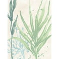 thumbnail image 2 of Vess, June Erica 19x24 Black Ornate Wood Framed with Double Matting Museum Art Print Titled - Swaying Seagrass I, 2 of 4