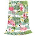 thumbnail image 2 of Honeii Tropical Flamingo Print Fleece Blanket - Throw Blanket for Bed, Sofa, Couch, Camping, and Travel , Microplush Ultra Soft Warm Blanket-40"x30", 2 of 7