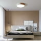 thumbnail image 3 of leyfeng AC220-240V 24W LED Lámpara circular redonda Luz de techo para pasillo Escalera Pasillo Balcón Living, 3 of 8