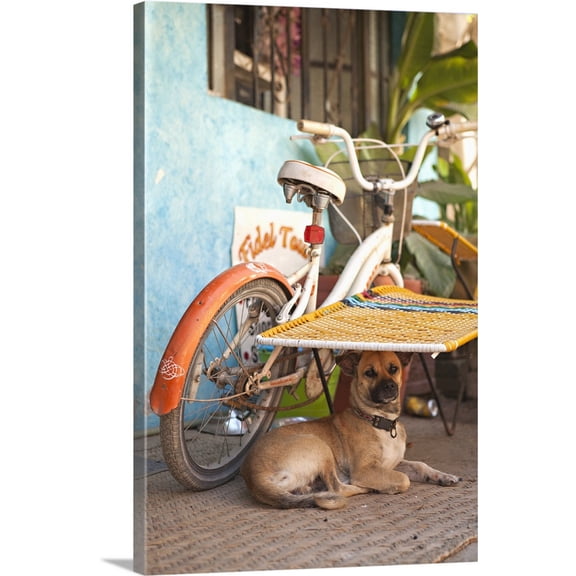 Great BIG Canvas | "A Dog's Life IV" Canvas Wall Art - 20x30