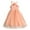Pink, variant on FhsagQ Dresses for Girls Toddler Girls Sleeveless Suspenders Dress Flowers Dance Party Princess Dresses Clothes Toddler Girls Spring The 7th of July Dresses 3T White 12-18 Months