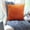 D, variant on Gosuguu Cozy Velvet Cushion Covers, Decorative Throw Pillow Covers, Chair and Sofa Pillows, Soft Plush Covers for Living Room