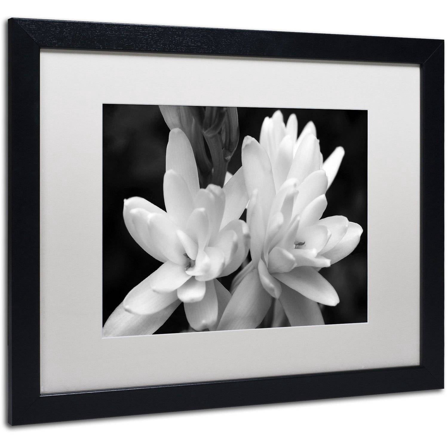 Trademark Fine Art "Tuber Rose in Black and White" Canvas Art by Kurt Shaffer, White Matte, Black Frame