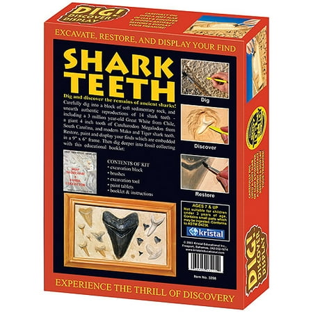 DIG! and DISCOVER: Shark Teeth