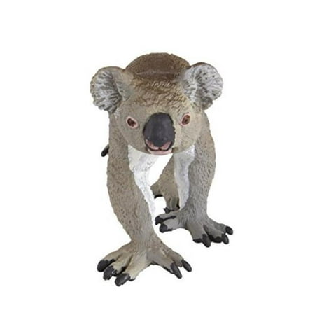 safari ltd koala