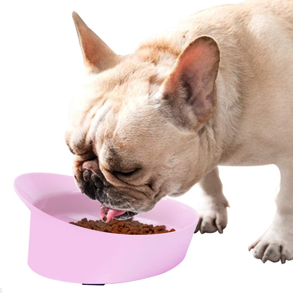 Why Do Dogs Spill Their Food