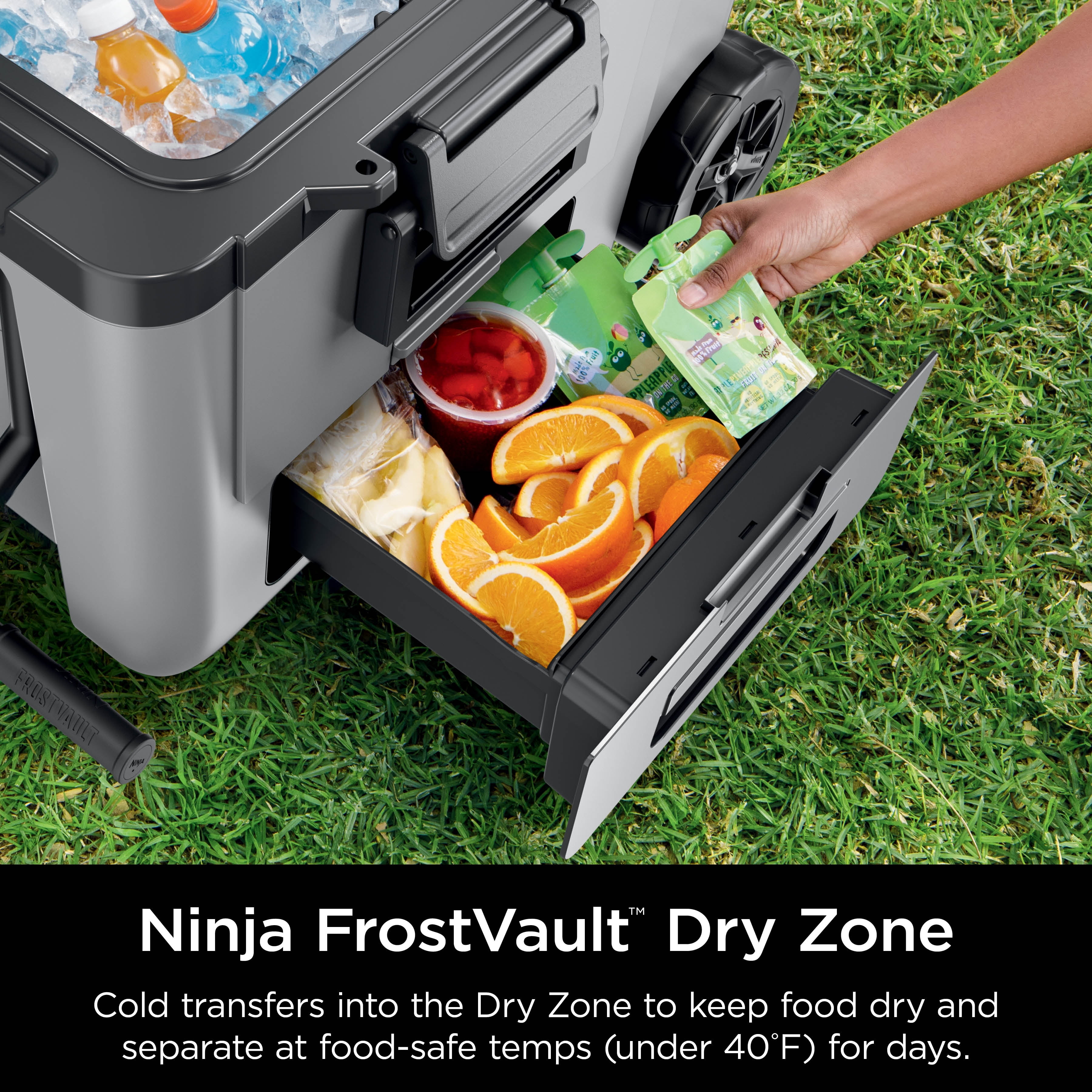 Ninja FrostVault 45 Quart Wheeled Cooler, Gray