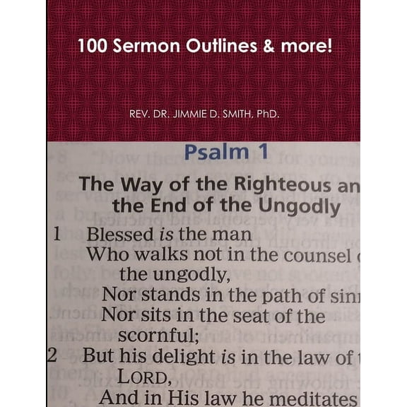 100 Sermon Outlines & more!, (Paperback)