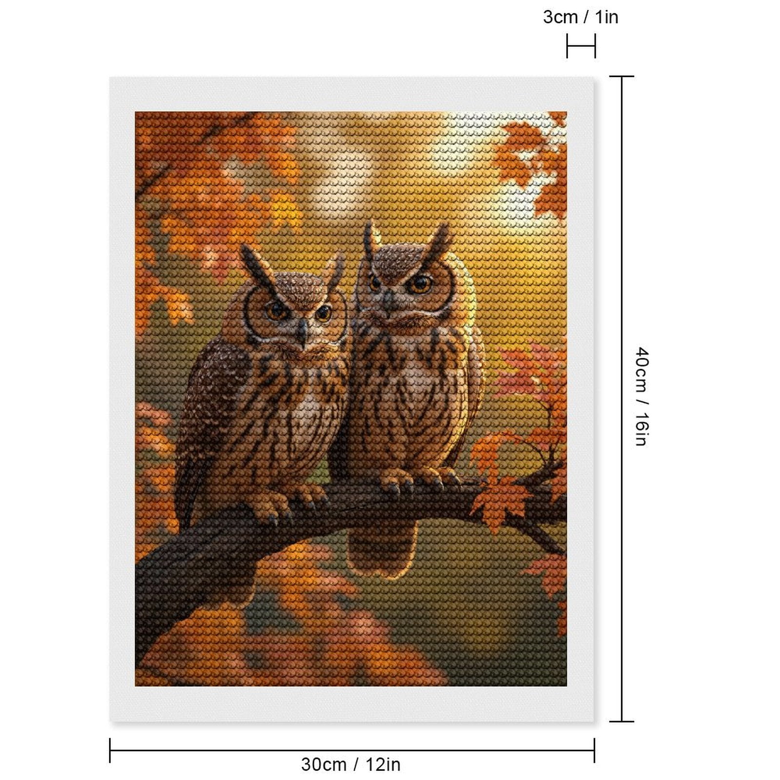 Diamond Art Kits for Adults, Owls Autumn Branch Fall Scene 5D Diamond Painting Kits for Adults Beginners, DIY Full Drill Diamond Painting, Gem Art and Crafts 12x16
