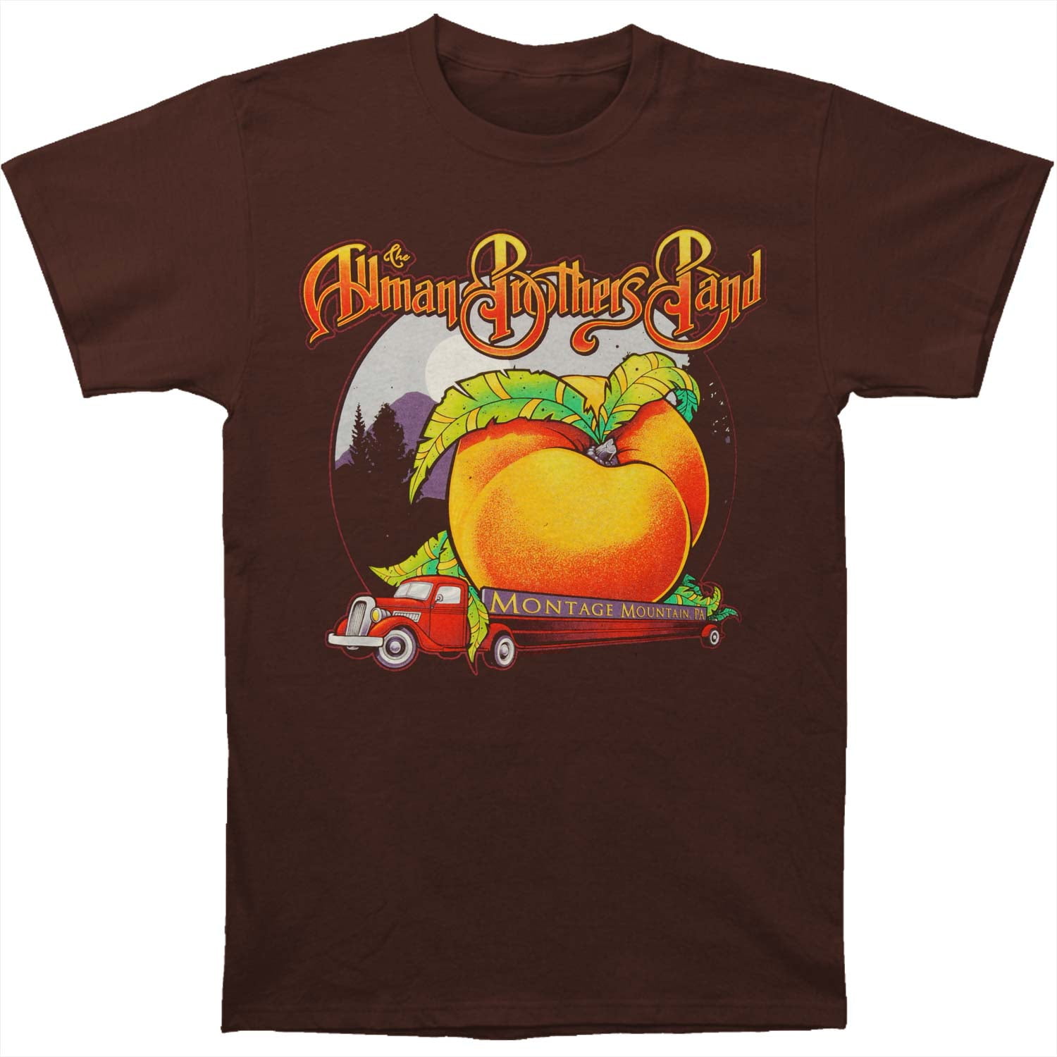 The Allman Brothers Band Allman Brothers Band Men's Montage Mountain Tshirt Chocolate