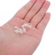 thumbnail image 5 of GOOHOCHY 100 De Tornillos Y Tuercas De Acrílico Claros Con Para Uso Industrial Y Hogar, 5 of 7
