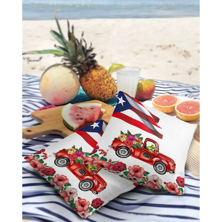 Outdoor Pillows Cover 24x24 Pack of 2 Puerto Rico Flag Truck Waterproof Throw Pillow Covers for Outdoor Decorative Pillowcase Red Hibiscus Floral Sofa Couch Cushion Cases for Patio Garden Walmart