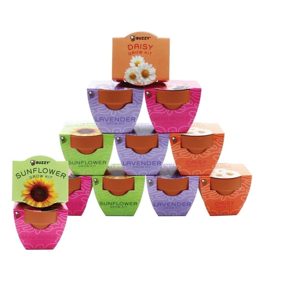 Buzzy Seeds 12pk Mini Terracotta Grow Kit, Sunflower, Lavender, Daisy & Mini Rose Seeds