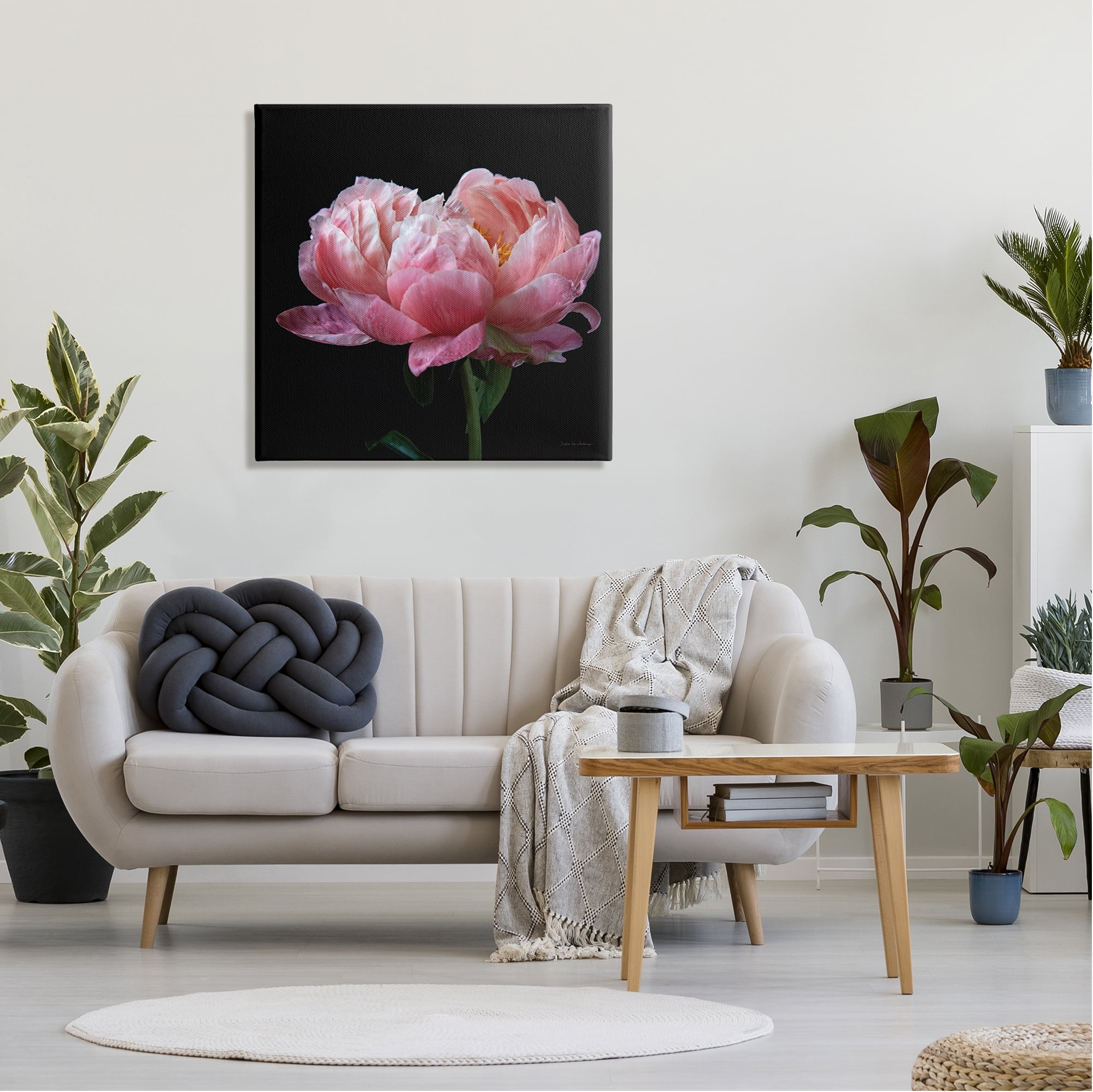Stupell Industries Blooming Rose on Black Botanical & Floral Photography Gallery Wrapped Canvas Art Print Wall Art, 30 x 30