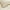 Ivory, variant on Superior Madrid Cotton Matelasse Bedspread Set, Full, White