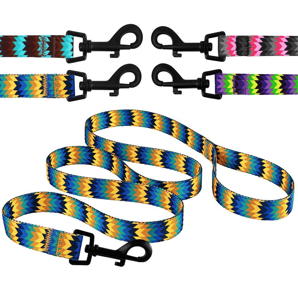 colorful dog leashes