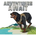 thumbnail image 5 of Tactical Dog Harness for Small Medium Large Dogs No Pull Adjustable Pet Harness Reflective K9 Working Training Easy Control Pet Vest Military Service Dog Harnesses L, 5 of 5