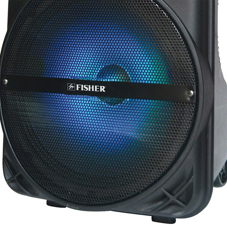 Fisher 12 cheap inch speakers