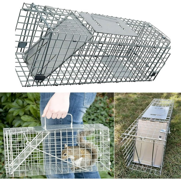 Jaula grande para atrapar animales vivos, ideal para atrapar y liberar conejos, ardillas, mapaches y animales de tamaño similar. Trampa reutilizable para roedores, de malla galvanizada,