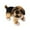 C, variant on FEISHENTT Lifelike and Cute Pug Stuffed Animal Adorable Little Puppy Stuffy Realistic Plush Doggy Toy Great Gift for Dog Lover or Plushie Collector 8.66 Inches