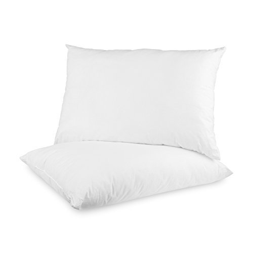 BioPEDIC 2Pack Builtin UltraFresh AntiOdor Technology bed pillows