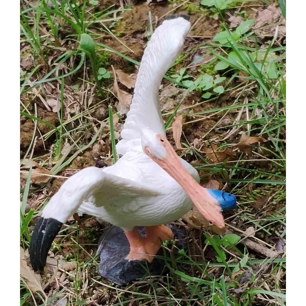 Emulational Bird Animal Model Toy Model Environmentally Friendly Pelican#2 