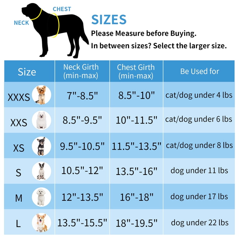 Reflective Step-In Harness and Leash Set, Extra Small photo 2