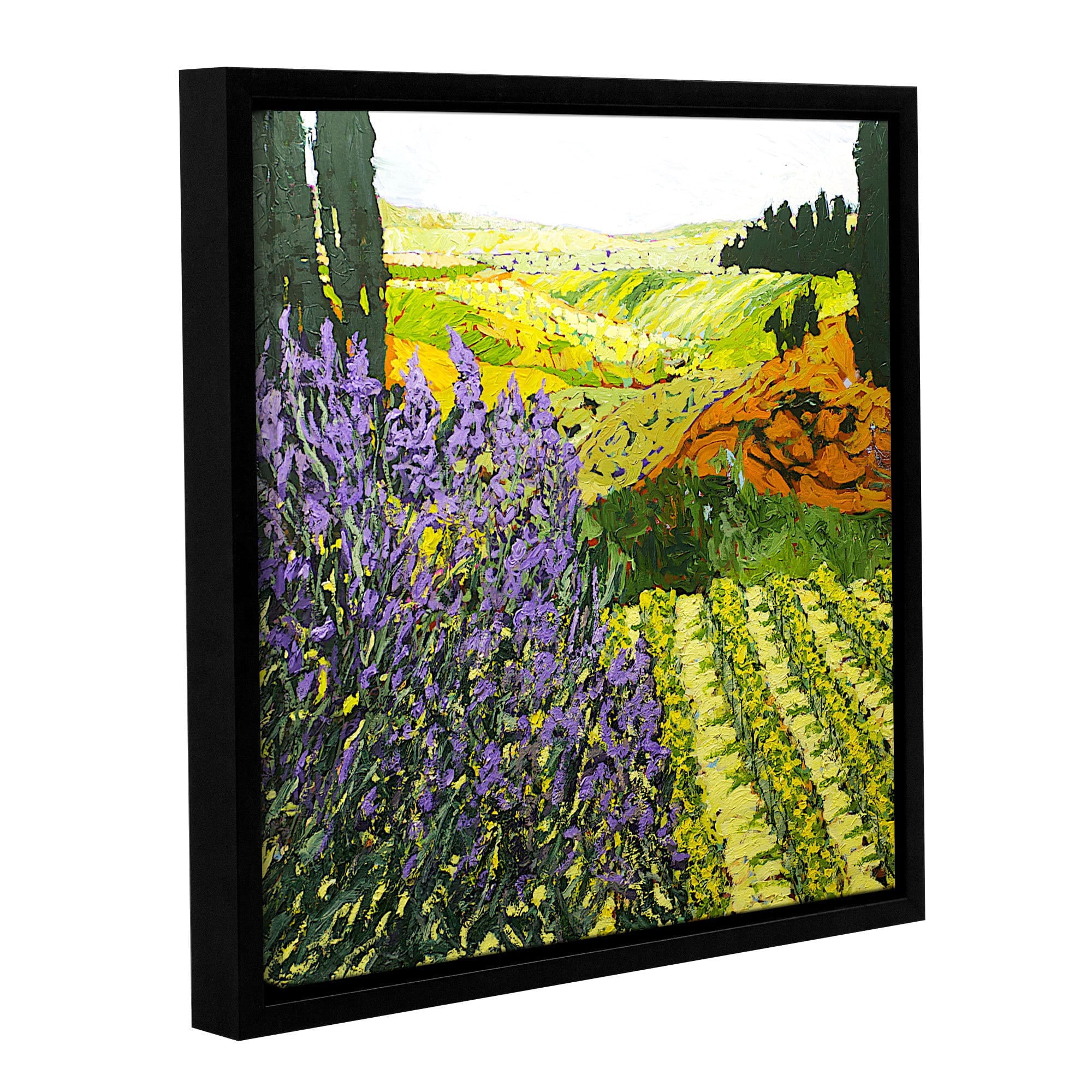ArtWall Allan Friedlander "It's Magic" Gallery-wrapped Floater-framed Canvas