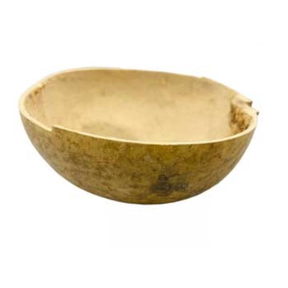 AzureGreen VJICARA 4 in. Jicara Calabash Cup