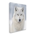 thumbnail image 4 of Stupell Industries White Wolf in Snow Animals & Insects Photography Gallery Wrapped Canvas Art Print Wall Art, 30 x 40, 4 of 8