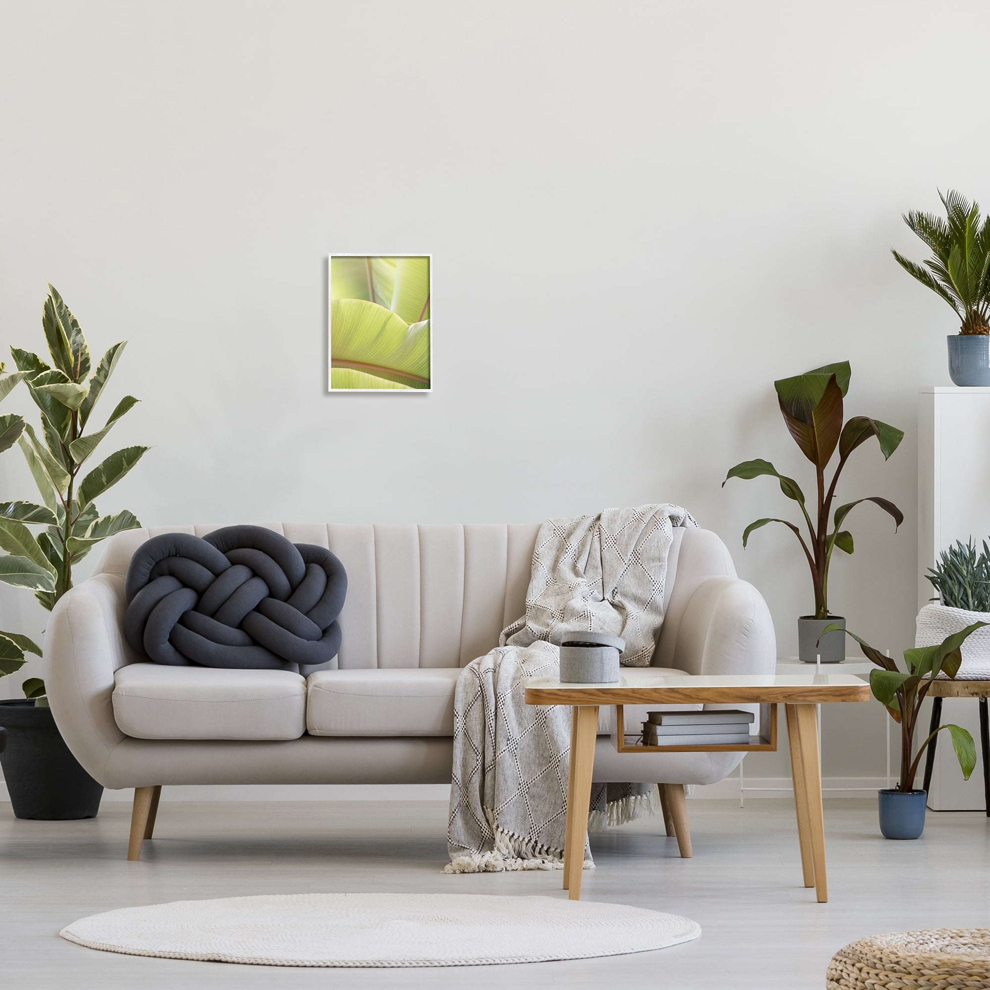 Stupell Modern Botanical Close Up Leaf Botanical & Floral Photography White Framed Art Print Wall Art