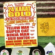 24 KARAT GOLD: A 24 TRACK MEGA-MIX OF CLASSIC DANCEHALL HITS