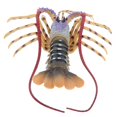 thumbnail image 3 of Juguete educativo Científico Sunnimix Modelo Coral Lobster de 15 pulgadas Decoración Coleccionable, 3 of 8