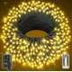 thumbnail image 1 of Control remoto String Light Ollny de 80 m, 800 LED, impermeable, blanco cálido, 1 of 8