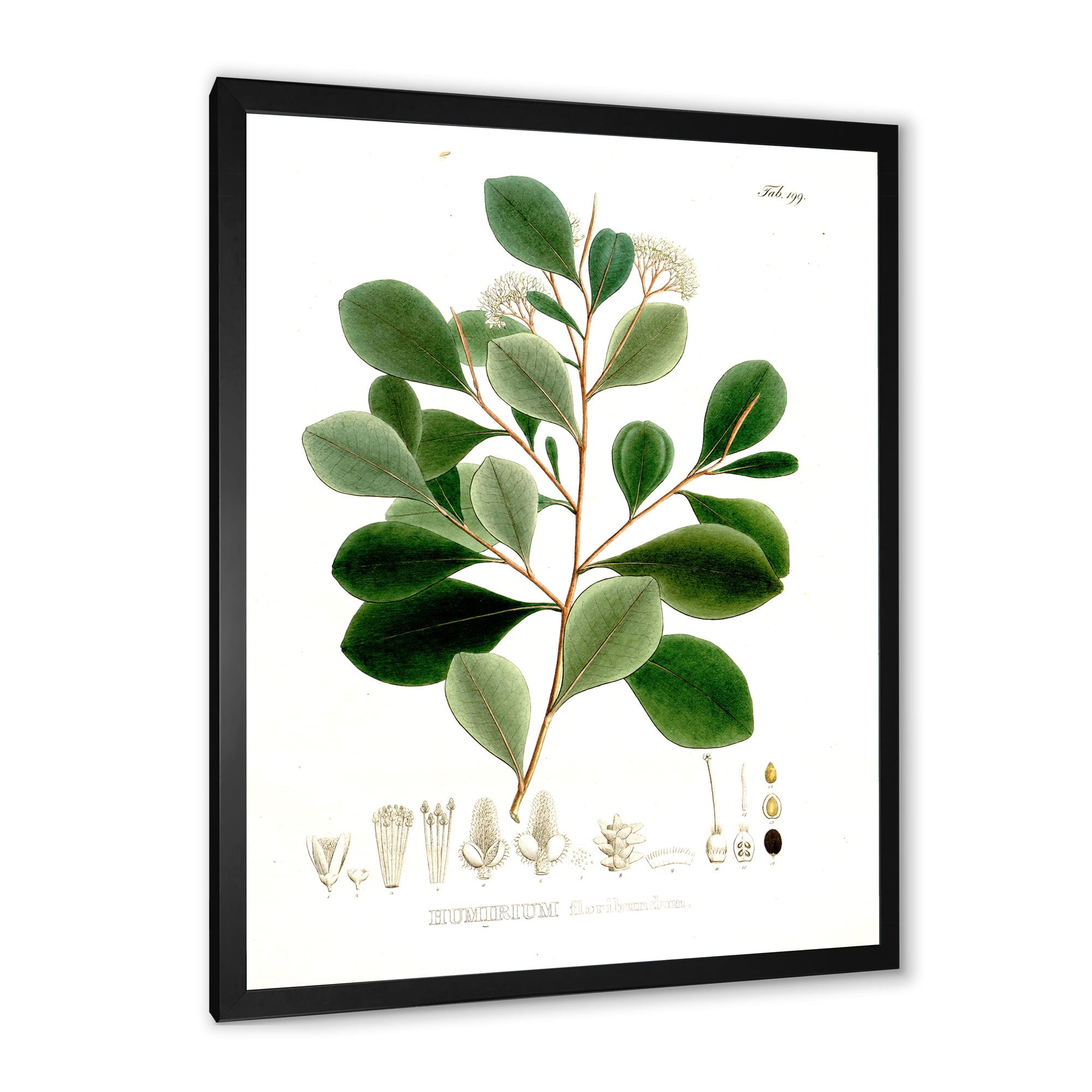 Designart 'Ancient Botanicals IV' Traditional Framed Art Print