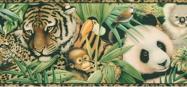 Free download Tan Jungle Safari Wallpaper Border Baby Nursery Kids  800x800 for your Desktop Mobile  Tablet  Explore 43 Baby Nursery Wallpaper  Border  Nursery Wallpaper Border for Boy Baby Boy