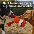 thumbnail image 3 of Juguetes de peluche chirriantes Jalousie para perros, paquete de 5, para perros medianos y grandes, 3 of 9
