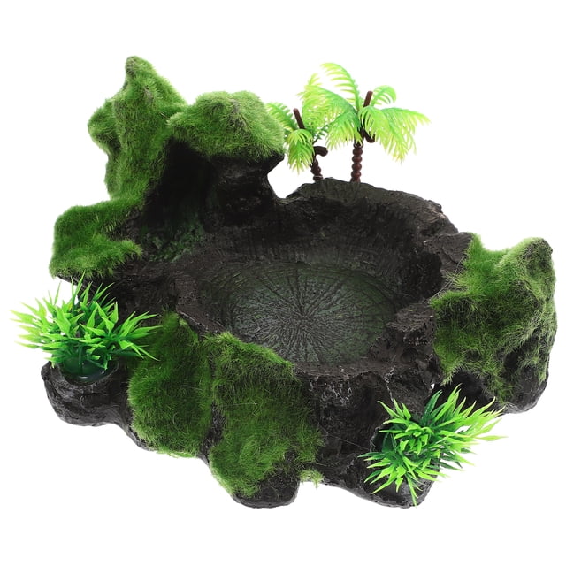 Plat Décoratif pour Reptiles Bol en Résine pour Reptiles Bol d'Eau pour Terrarium Accessoire de Collation