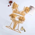 thumbnail image 1 of Traje de lencería sexy fina de encaje transpirable con plumas de malla push up de artesanía compleja popular europea y americana, 1 of 6