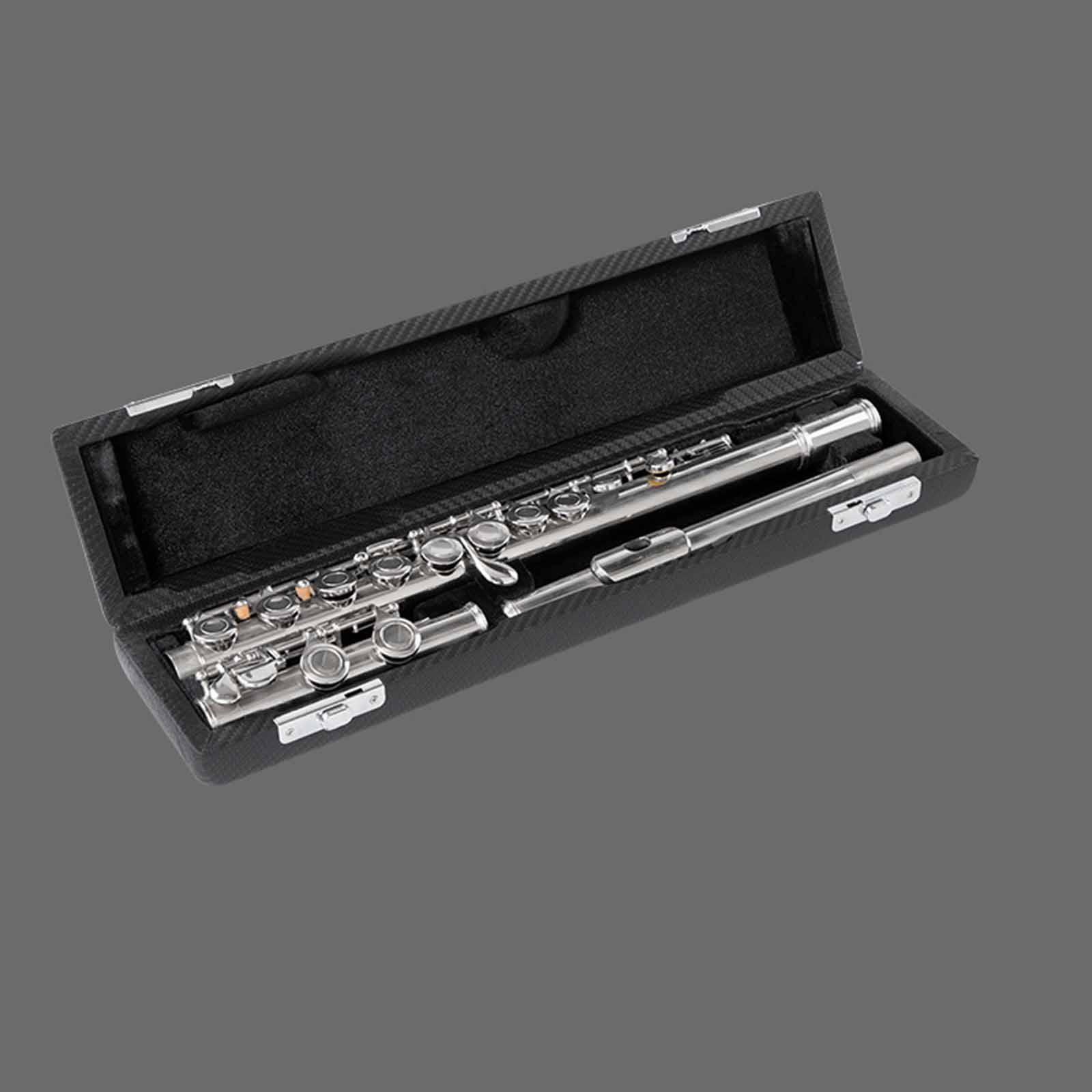 LeeQinersw Flute Case Protection Beginners Organizer Musician Gift Show Travel Carrying Style B