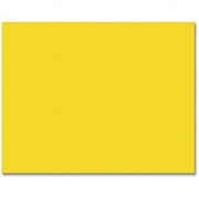 Pacon® Railroad Board, 4-Ply, 22 x 28, Lemon Yellow, Pack of 25, Paper Poster Boards
