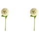 thumbnail image 2 of Toystoory 10 unids/set flor de simulación duradera para decoración del hogar DIY o decoración de fiesta amantes longitud simulación verde Verde claro 2Conjunto, 2 of 6