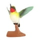 thumbnail image 2 of Figura de colibrí de simulación, estatua educativa para regalo de cumpleaños o jardín. 3241, 2 of 9